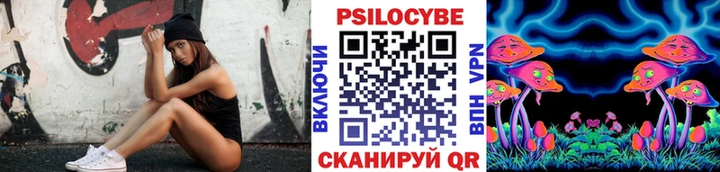 mega как войти  купить закладку  Петухово  Псилоцибиновые грибы Psilocybine cubensis 